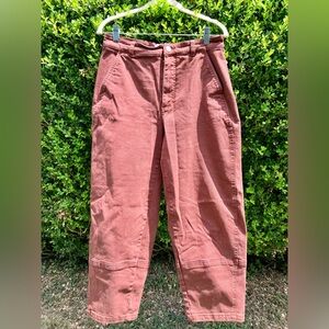 Everlane Utility Barrel Pant Sz 8